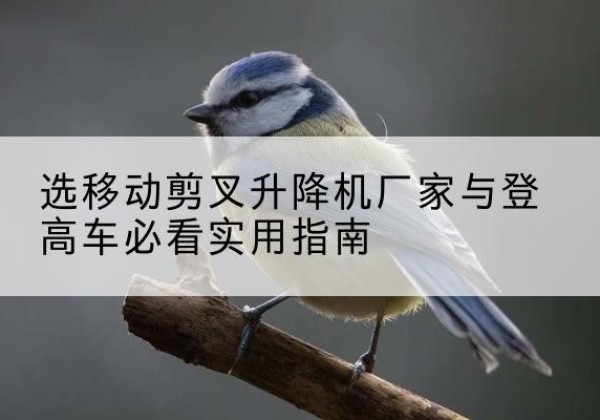 佳木斯电动升降机厂家-选移动剪叉升降机厂家与登高车必看实用指南
