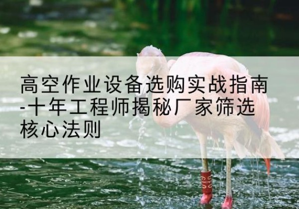佳木斯剪叉式升降机厂家-高空作业设备选购实战指南-十年工程师揭秘厂家筛选核心法则
